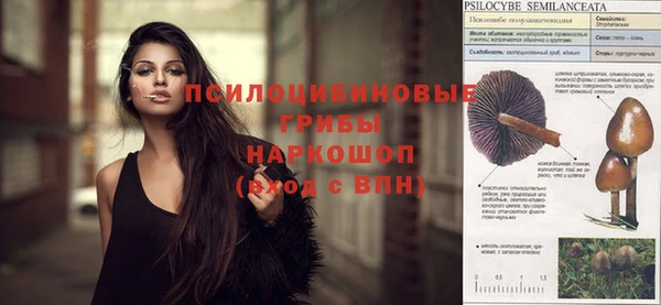 круглые Каменка