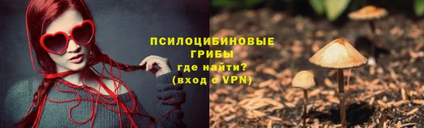 прущая мука Каменногорск