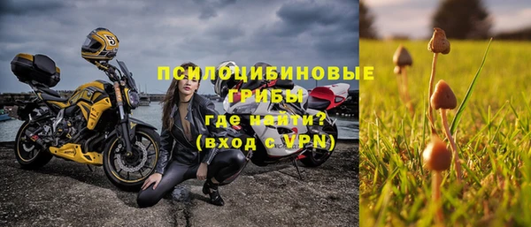 прущая мука Каменногорск