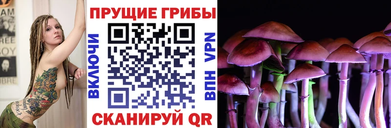 Купить  Дигора  Псилоцибиновые грибы MAGIC MUSHROOMS 